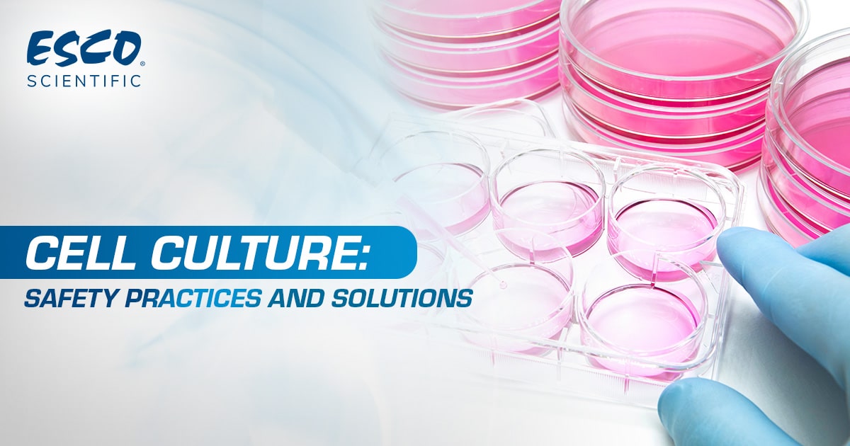 Cell Culture: Safety Practices and Solutions